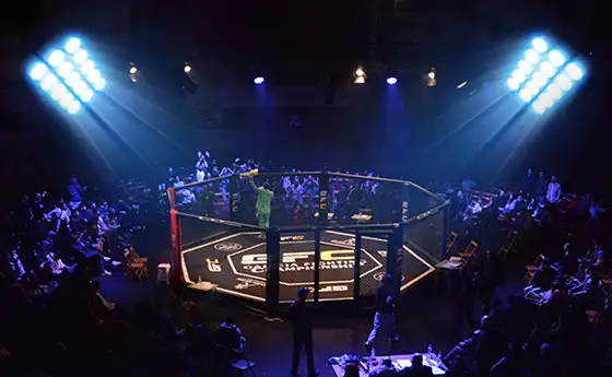 NEMOENTRADAS.COM - IV FIGHT NIGHT RÍAS BAIXAS → 28/03/2026 | 18:30